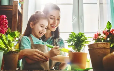 Why You Should Never Skip HVAC Maintenance Visits